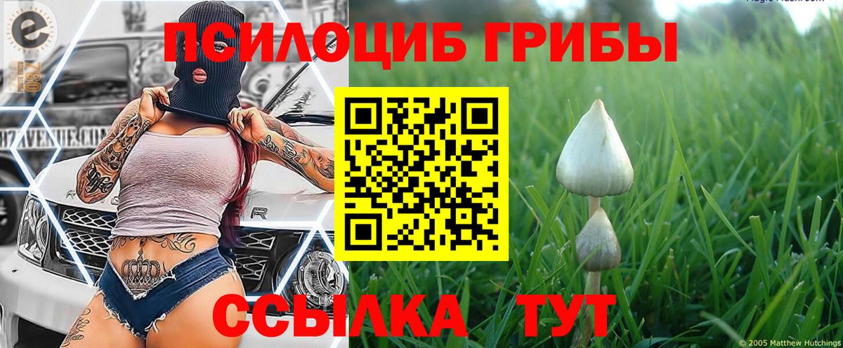 Галлюциногенные грибы Psilocybe  Вход с VPN  Коряжма 